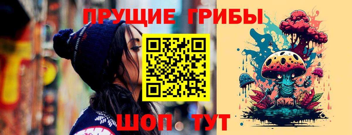 Галлюциногенные грибы Psilocybine cubensis  Вход с VPN  Северобайкальск 